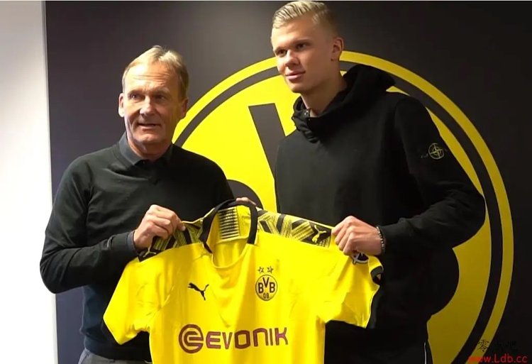 你有多久没看肘子姐打球了？