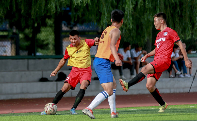 战术大师阿隆索巧解贝林厄姆定位难题，皇马中场重焕新生